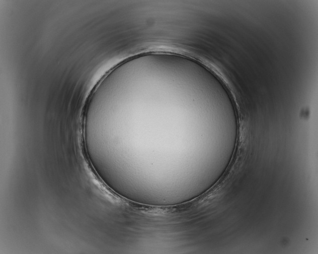 X0000115641048200911241706