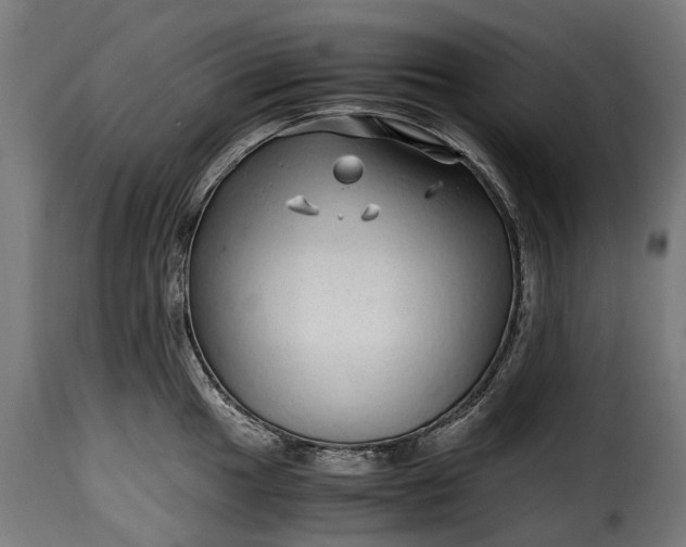 X0000115641049200911241706