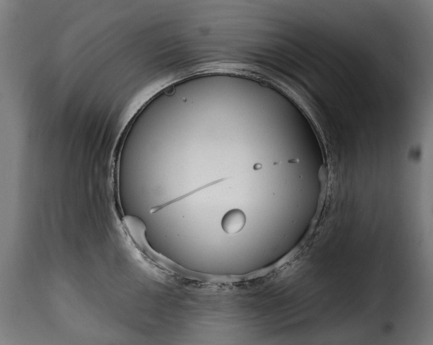 X0000115641050200911241706