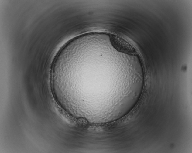 X0000115641051200911241706