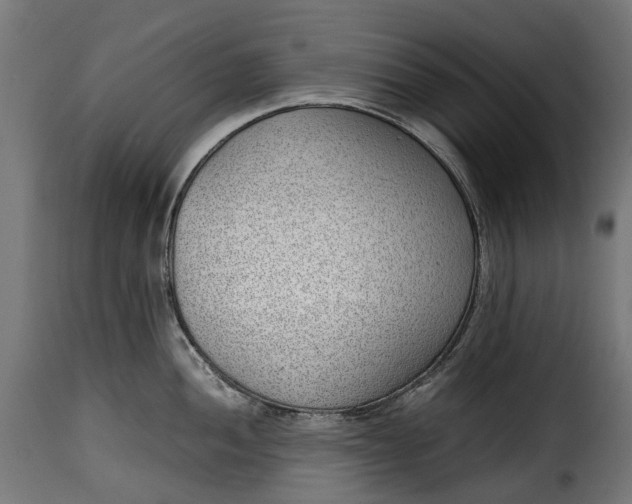 X0000115641052200911241706