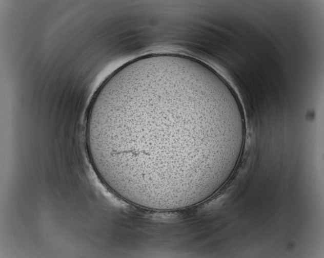 X0000115641053200911241706