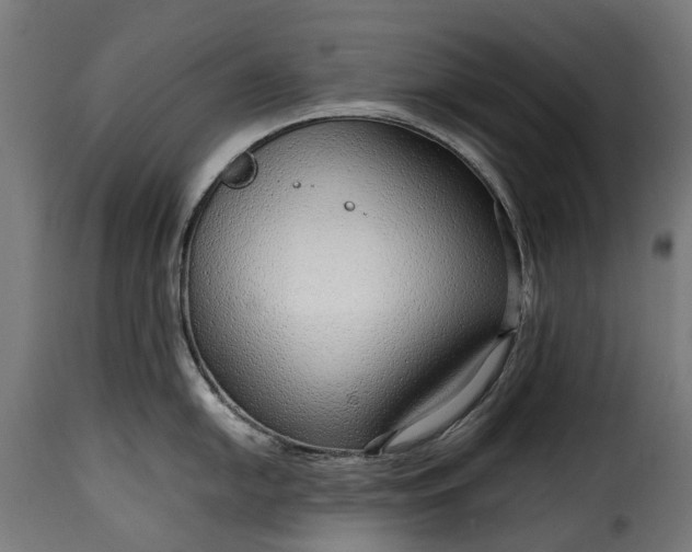 X0000115641054200911241706