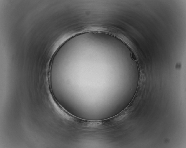 X0000115641055200911241706