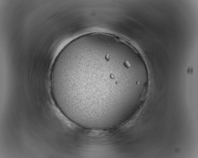 X0000115641056200911241706