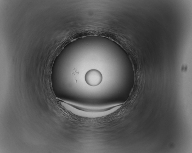 X0000115641057200911241705