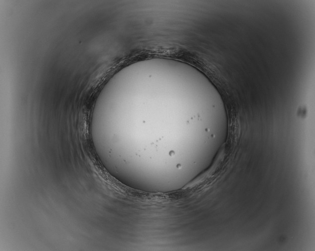 X0000115641058200911241705