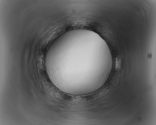 X0000115641059200911241705