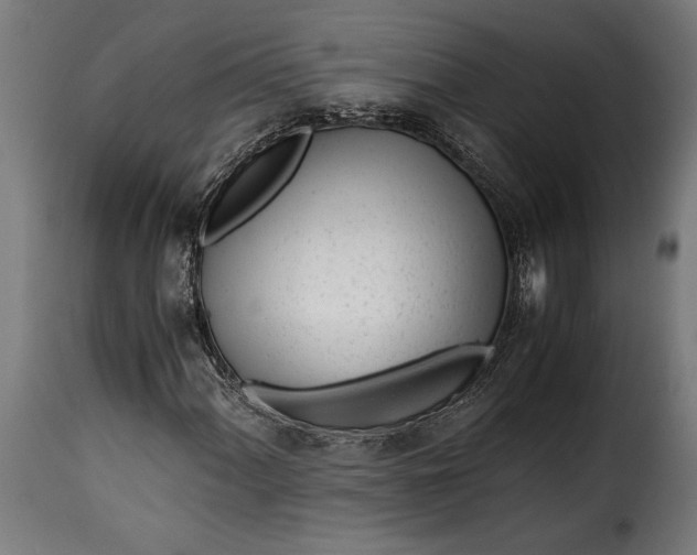 X0000115641060200911241705