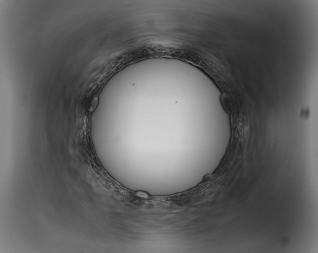 X0000115641061200911241705