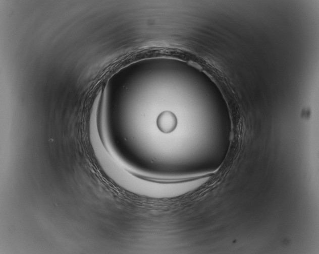 X0000115641062200911241705