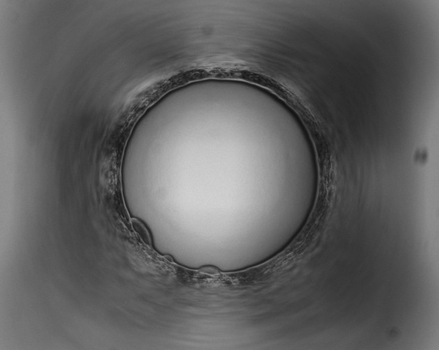 X0000115641063200911241705