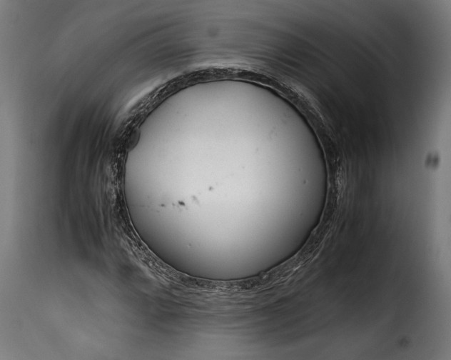 X0000115641064200911241705