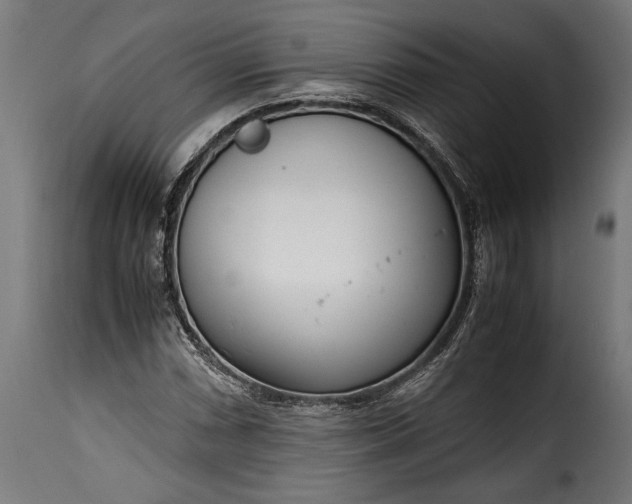 X0000115641066200911241705