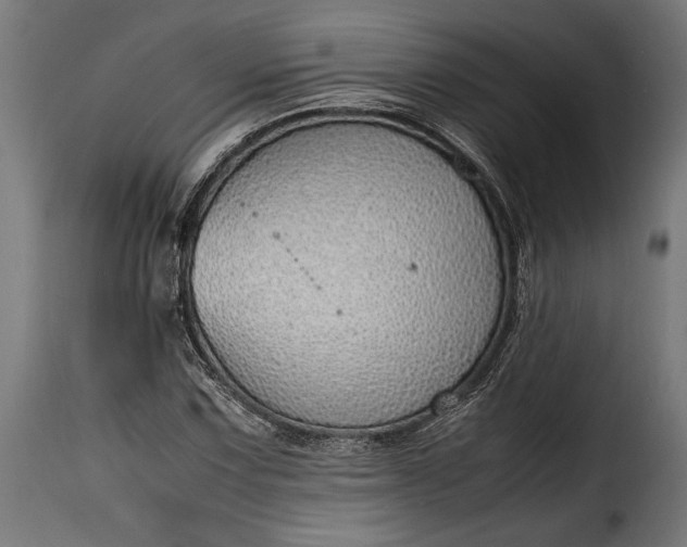 X0000115641067200911241705