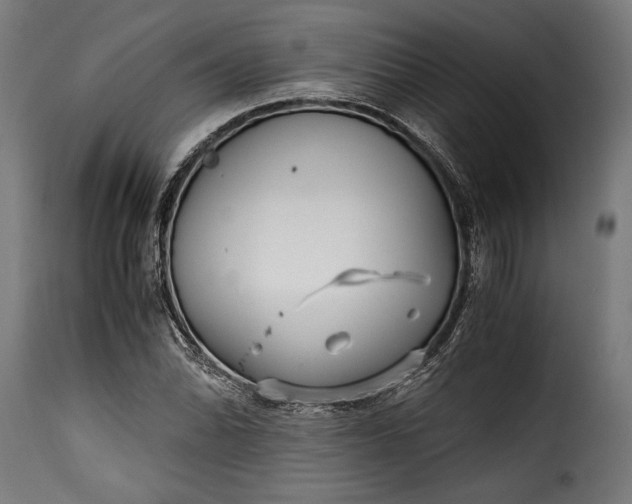 X0000115641070200911241705