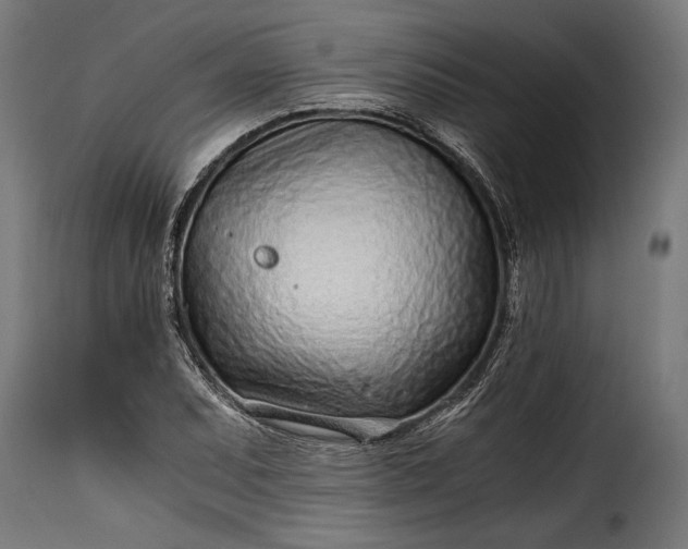 X0000115641071200911241705