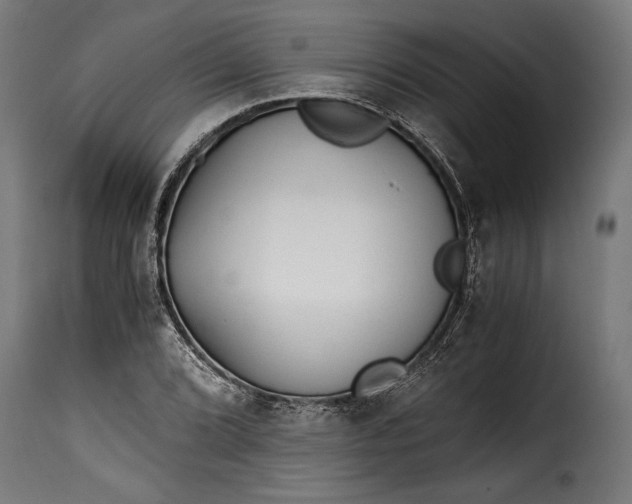 X0000115641072200911241705