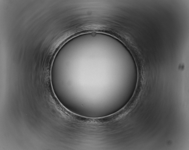 X0000115641073200911241705