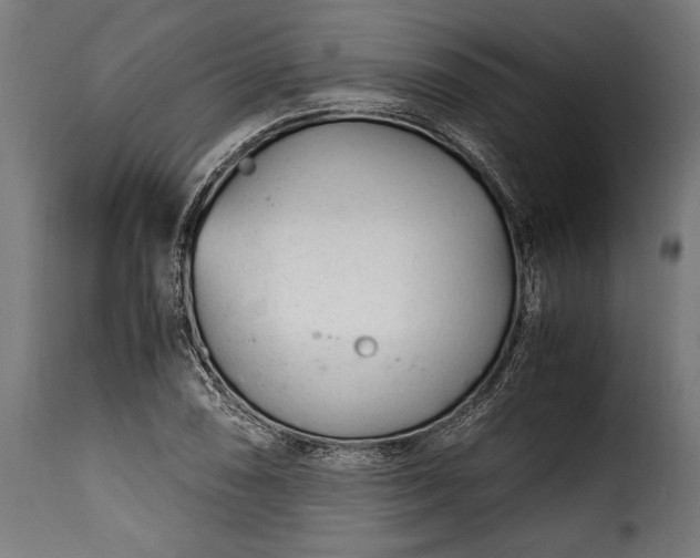 X0000115641074200911241705