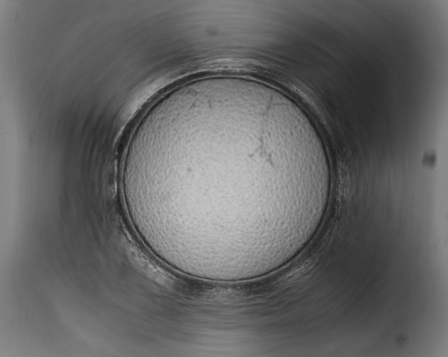 X0000115641075200911241705