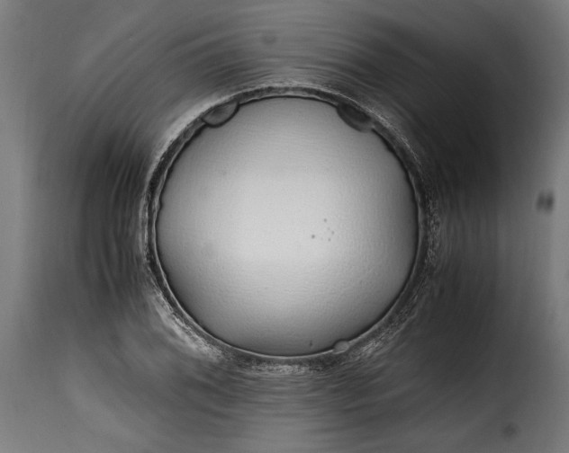 X0000115641076200911241705