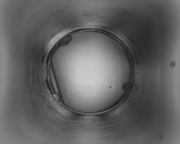 X0000115641077200911241705