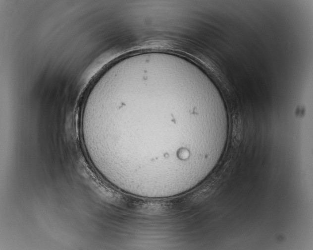 X0000115641078200911241705