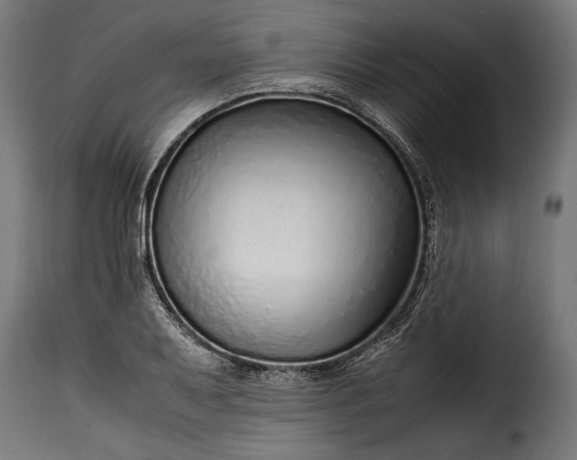 X0000115641079200911241705