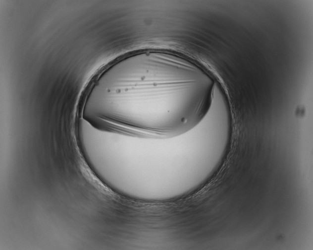 X0000115641080200911241705