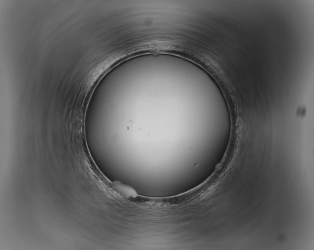 X0000115641081200911241705