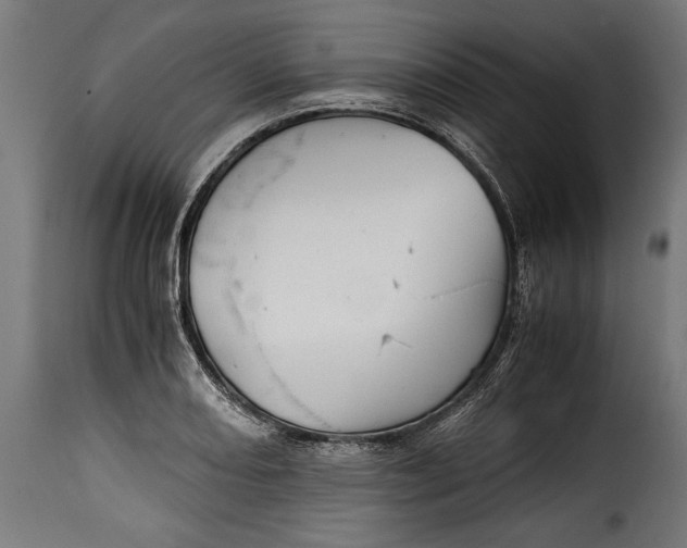 X0000115641082200911241705