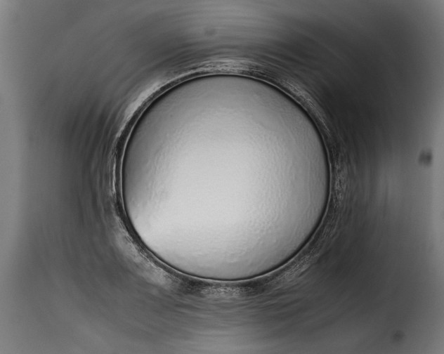 X0000115641083200911241705