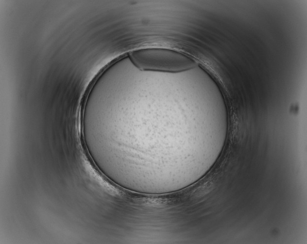 X0000115641084200911241705