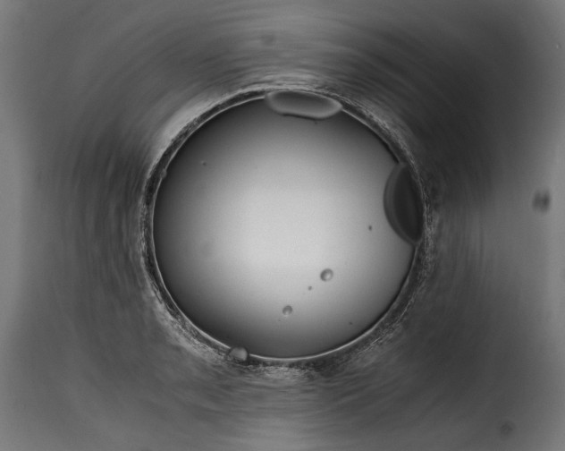 X0000115641085200911241705