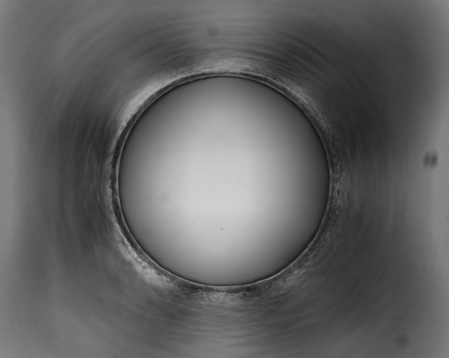 X0000115641086200911241705