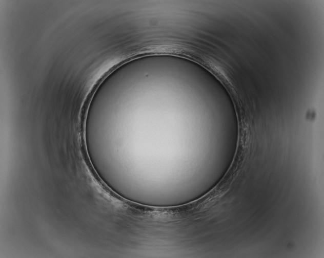 X0000115641087200911241705