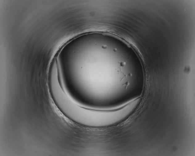 X0000115641088200911241705