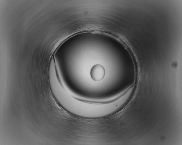 X0000115641089200911241705