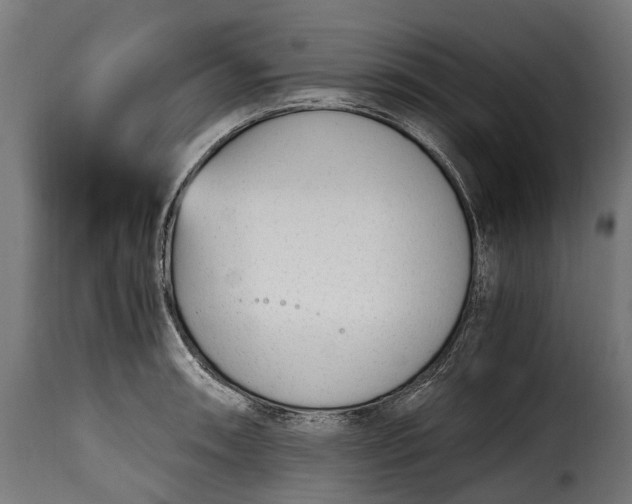 X0000115641090200911241705