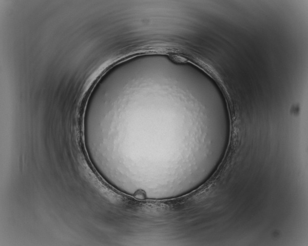 X0000115641091200911241705