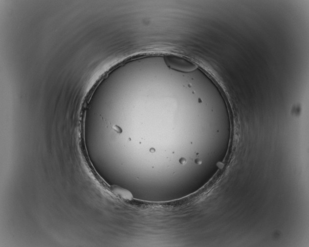 X0000115641093200911241705