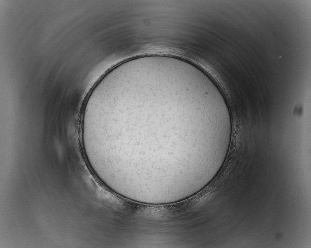 X0000115641094200911241705