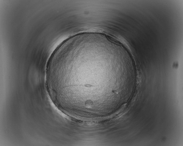 X0000115641095200911241705