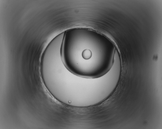 X0000115641096200911241705