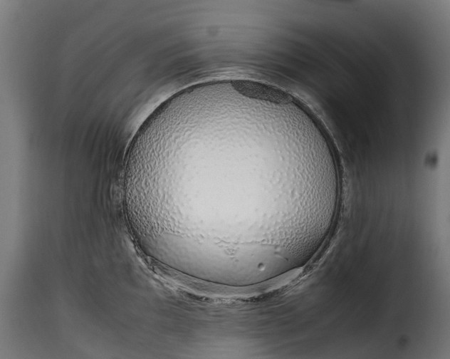 X0000115641097200911241705