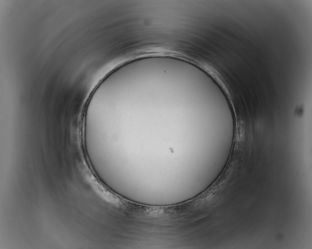 X0000115641098200911241705