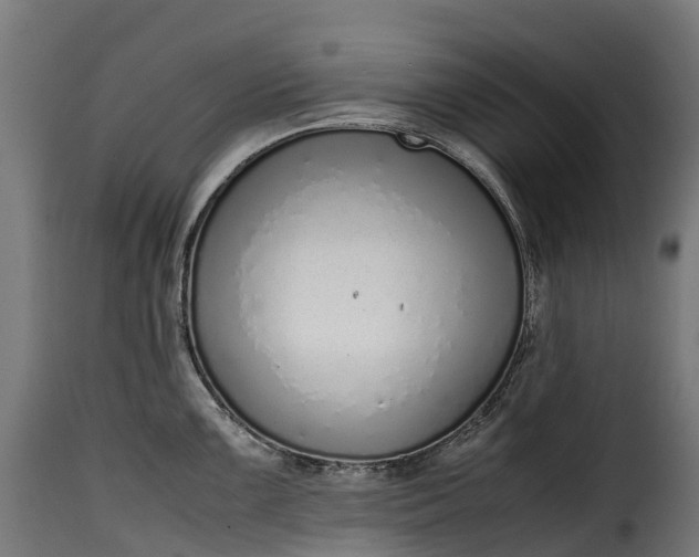 X0000115641099200911241705