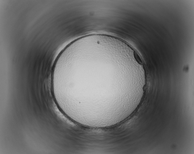 X0000115641100200911241705