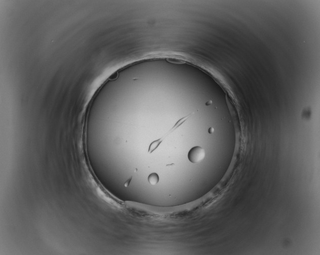 X0000115641102200911241705